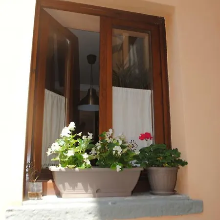 Vakantiehuis La Maison D'alize