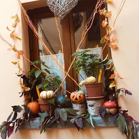 La Maison D'alize