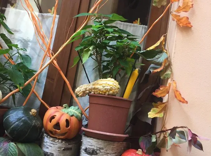 La Maison D'alize Дом отдыха Лекко